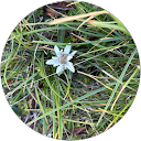 Mihaela iacob profile picture